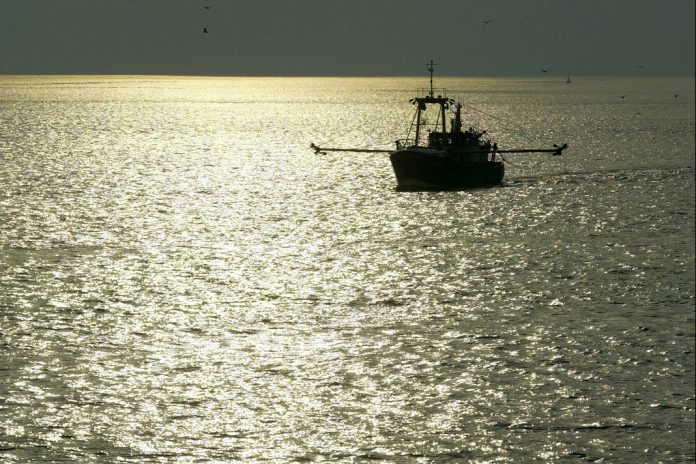 Pesca de bacalhau está proibida no mar Báltico oriental