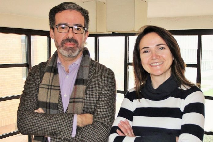 Comunidades Intermunicipais aproximam municípios mas não envolvem os cidadãos Comunidades Intermunicipais aproximam municípios mas não envolvem os cidadãos