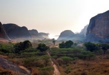 Proteção ambiental em África com Cátedra UNESCO lançada no Porto