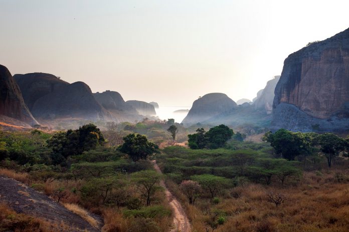 Proteção ambiental em África com Cátedra UNESCO lançada no Porto