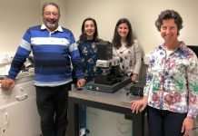 Cancro: Estudo da Universidade de Coimbra distinguido por Laboratório do Reino Unido