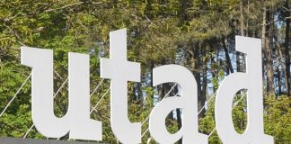 Universidade de Trás-os-Montes e Alto Douro atribuir 16 bolsas de mérito a novos estudantes