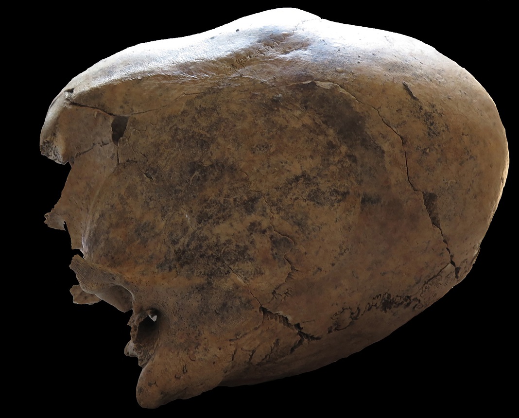 Descoberta de esqueletos do período das invasões bárbaras na Europa de Leste 