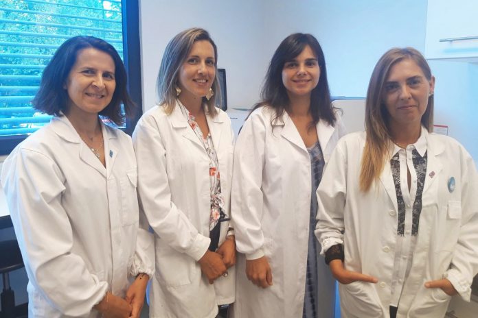 Cancro: Descoberta função de sequência de RNA implicada na divisão das células Cancro: Descoberta função de sequência de RNA implicada na divisão das células