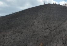 Castro Daire com 140 hectares queimados para renovação de pastagens
