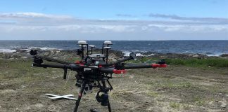 Cientistas portugueses e noruegueses usam drones no estudo da biologia costeira