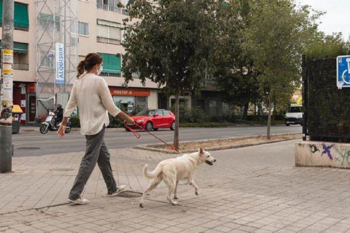 Coabitar com cães e receber bens no domicílio são fatores de risco de COVID-19