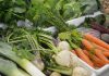 Lista de alimentos que podem diminuir perda de memória e concentração com a idade