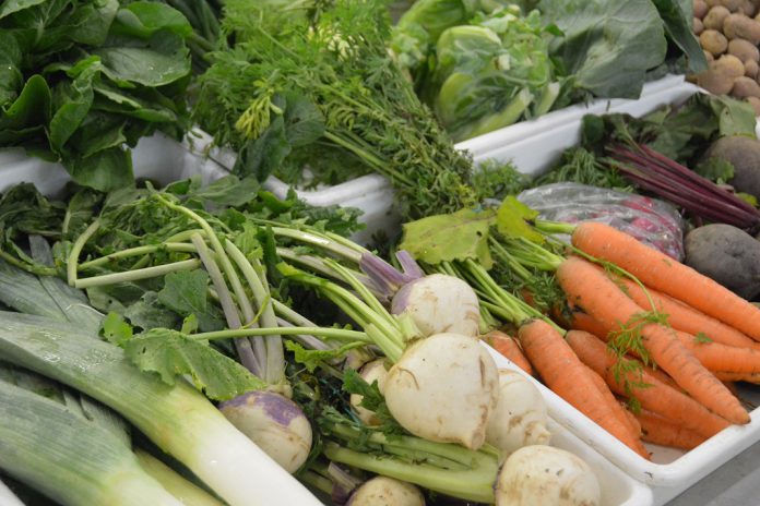 Dietas à base de vegetais pode reduzir risco de múltiplas doenças crónicas em idosos