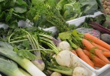 Vantagens para Reino Unido do acordo sanitário e fitossanitário com a União Europeia Vantagens para Reino Unido do acordo sanitário e fitossanitário com a União Europeia