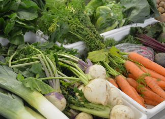 Mudança na dieta pode diminuir risco ou retardar cancro do fígado