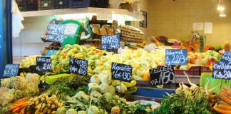 Workshop gratuito sobre nutrição na doença renal crónica na NOVA Medical School