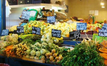 Workshop gratuito sobre nutrição na doença renal crónica na NOVA Medical School