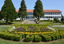 Município de Bragança apoia coletividades desportivas em tempo de pandemia