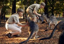 Os Irwin no seu dia-a-dia no Austrália Zoo: novos episódios no Discovery
