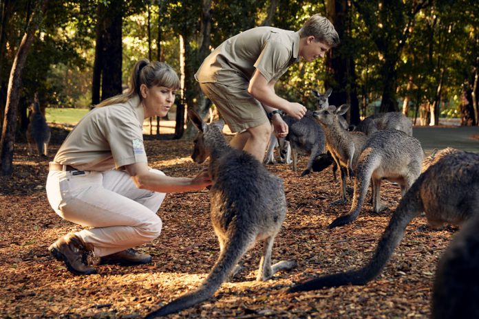 Os Irwin no seu dia-a-dia no Austrália Zoo: novos episódios no Discovery