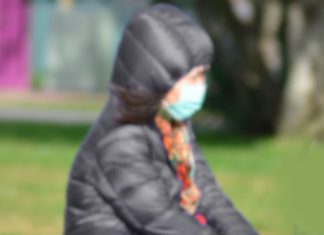 O hantavírus que veio relembrar a COVID-19 Hantavírus que veio relembrar a COVID-19
