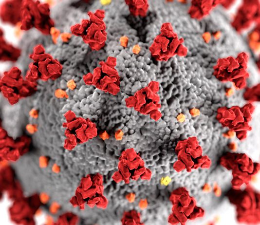 Jovens saudáveis infetados pelo coronavírus correm risco de AVC grave