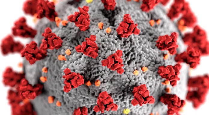 Jovens saudáveis infetados pelo coronavírus correm risco de AVC grave