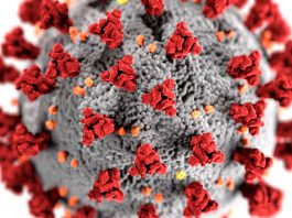 Recomendações para Cuidados Paliativos no âmbito da COVID-19