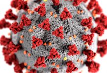 Mutações no novo coronavírus têm implicações nas vacinas e tratamentos