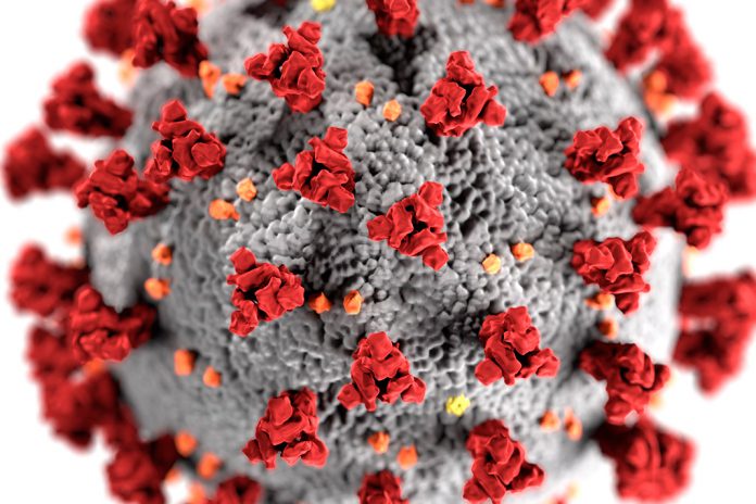 Mutações no novo coronavírus têm implicações nas vacinas e tratamentos