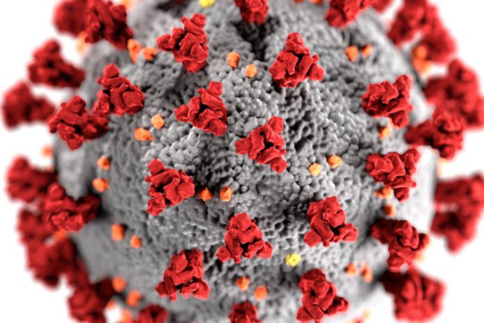 Medicamento para tratar o cancro pode tratar a COVID-19
