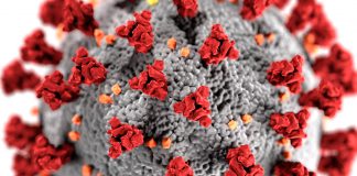 Novas variantes do SARS-CoV-2 da COVID-19 detetadas no Reino Unido