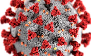 Variantes da COVID-19 estão a enganar o sistema imunológico escapam às defesas Variantes da COVID-19 estão a enganar o sistema imunológico escapam às defesas