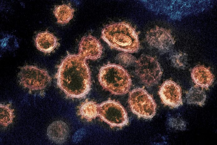 Propagação do novo coronavírus no ambiente está a intrigar cientistas