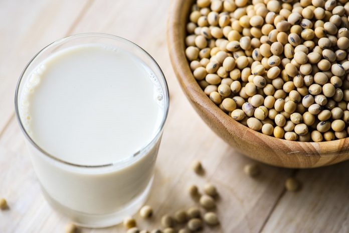 Soja geneticamente modificada autorizada para alimentação humana e animal