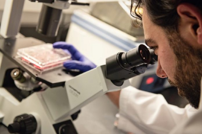 Medicamentos para tratar o cancro da próstata podem tratar a COVID-19 Medicamentos para tratar o cancro da próstata podem tratar a COVID-19