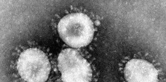 Coronavírus de Wuhan: o que se sabe sobre o novo vírus