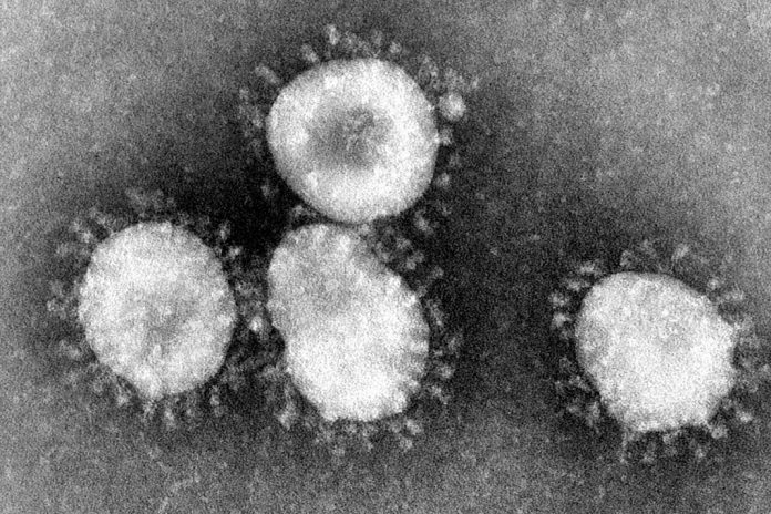Coronavírus 2019 identificado na China