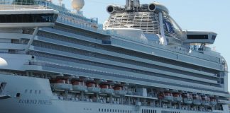 Tripulantes e passageiros do navio Diamond Princess estão de quarentena