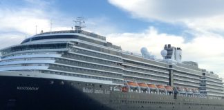Passageira do navio Westerdam confirmada com coronavírus