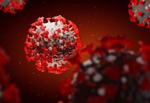 As nanotecnologias no desenvolvimento da vacina COVID-19