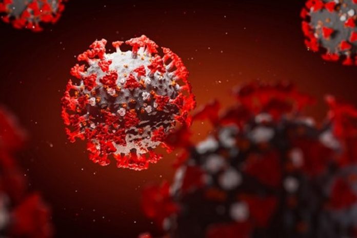As nanotecnologias no desenvolvimento da vacina COVID-19