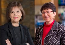 Estudo conclui que a COVID-19 não é transmitida pelo leite materno