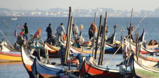Medidas da Comissão de Pescas do Atlântico Nordeste entram em vigor para combater a sobrepesca da cavala pela Rússia Medidas da Comissão de Pescas do Atlântico Nordeste entram em vigor para combater a sobrepesca da cavala pela Rússia