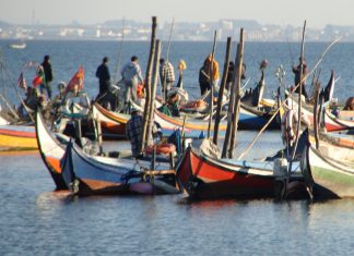 Medidas da Comissão de Pescas do Atlântico Nordeste entram em vigor para combater a sobrepesca da cavala pela Rússia Medidas da Comissão de Pescas do Atlântico Nordeste entram em vigor para combater a sobrepesca da cavala pela Rússia