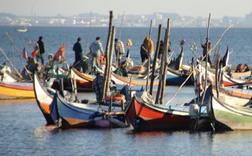 Medidas da Comissão de Pescas do Atlântico Nordeste entram em vigor para combater a sobrepesca da cavala pela Rússia