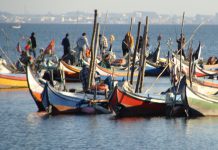 COVID-19: Conselho Europeu aprova assistência financeira aos pescadores