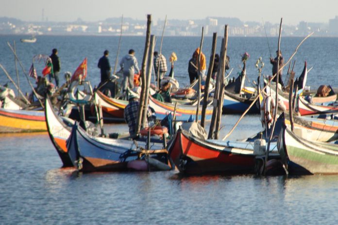 COVID-19: Conselho Europeu aprova assistência financeira aos pescadores