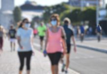 Desenvolvido sensor que deteta vírus da gripe aviária em amostras de ar