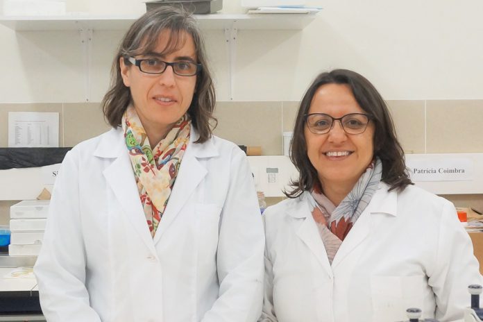 Resíduos do fruto da nogueira combatem nemátodes parasitas de plantas Resíduos do fruto da nogueira combatem nemátodes parasitas de plantas