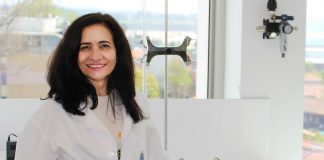 Biosílica extraída da cana-de-açúcar resulta de investigação portuguesa