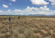 Estudo luso-espanhol auxilia nas medidas para proteger biodiversidade do solo