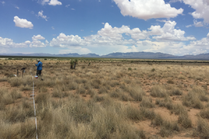 Estudo luso-espanhol auxilia nas medidas para proteger biodiversidade do solo