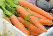 Cenoura laranja ou amarela: uma descoberta genética sobre níveis de carotenoides essenciais para a saúde humana Cenoura laranja ou amarela: uma descoberta genética sobre níveis de carotenoides essenciais para a saúde humana